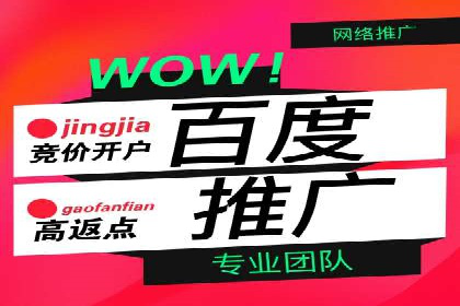 百度竞价托管公司实战案例：实现广告投放精准投放
